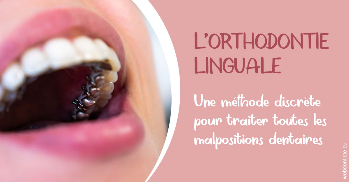 https://dr-emmanuel-toucas.chirurgiens-dentistes.fr/L'orthodontie linguale 2