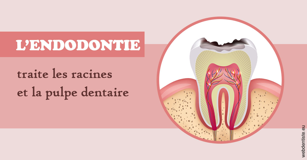 https://dr-emmanuel-toucas.chirurgiens-dentistes.fr/L'endodontie 2