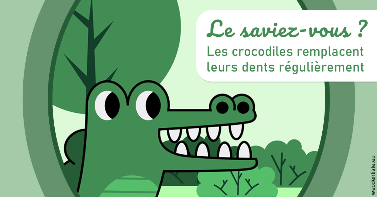 https://dr-emmanuel-toucas.chirurgiens-dentistes.fr/Crocodiles 2